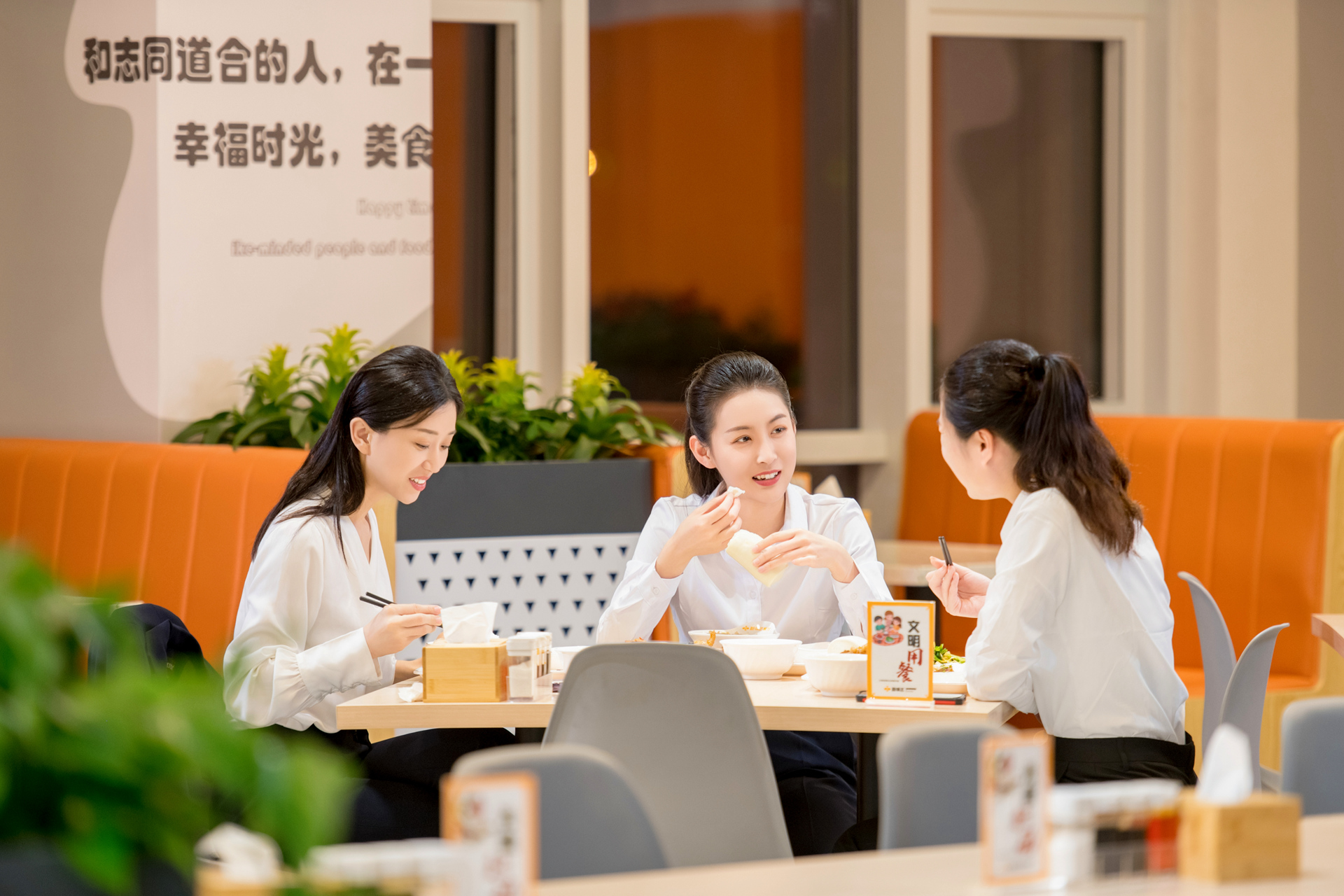 MS88����(�й�)���޹�˾����