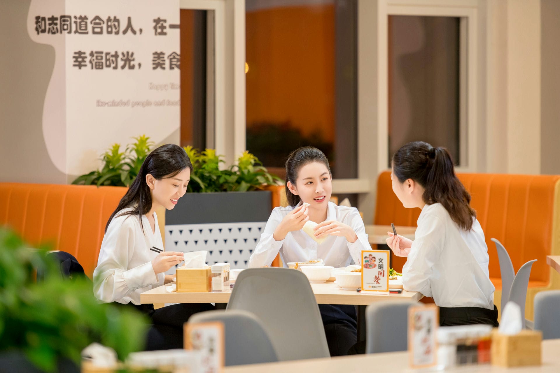 MS88����(�й�)���޹�˾����