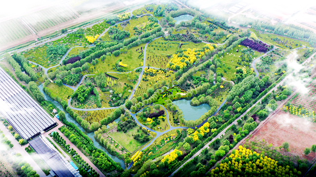 MS88����(�й�)���޹�˾����