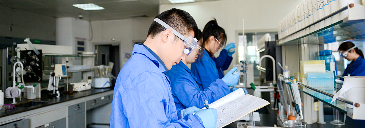 MS88����(�й�)���޹�˾����