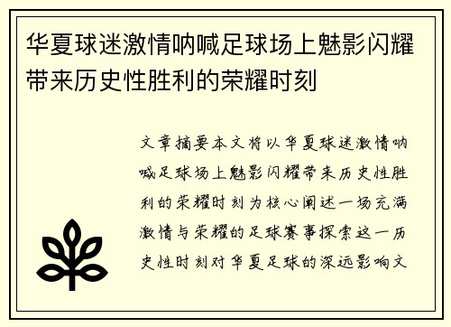 华夏球迷激情呐喊足球场上魅影闪耀带来历史性胜利的荣耀时刻